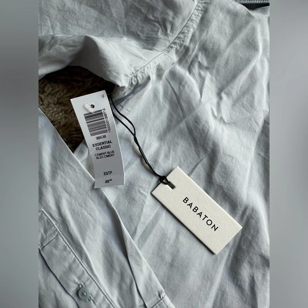 Aritzia Babaton essential classic shirt